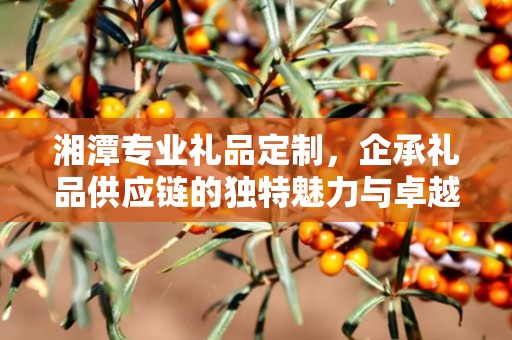湘潭专业礼品定制，企承礼品供应链的独特魅力与卓越服务